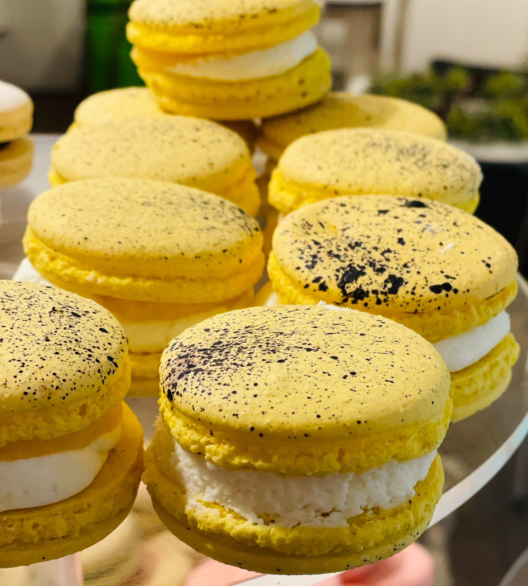 Box of 6 Macrons